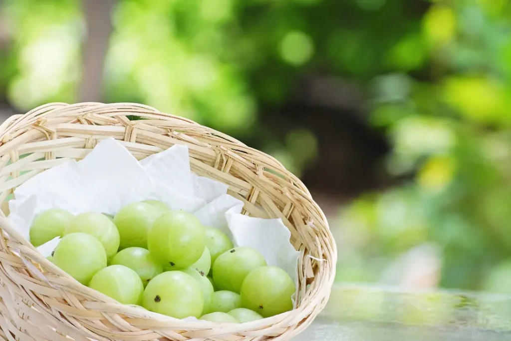 Fresh amla fruit in wooden basket.