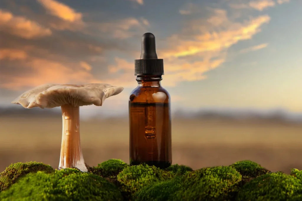 Organic mushroom extract.