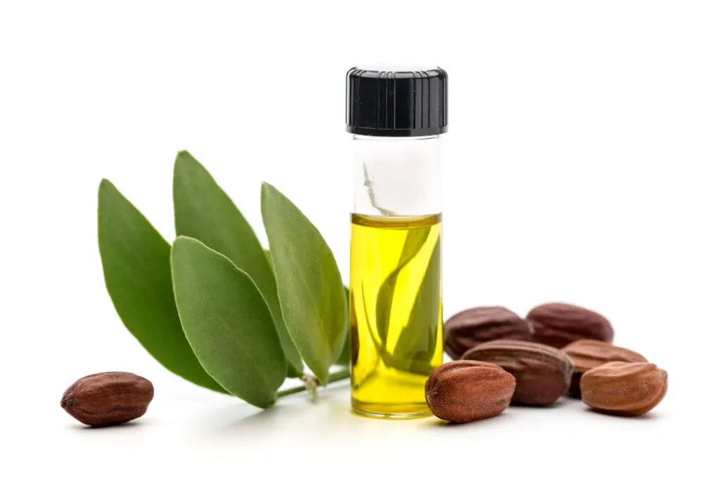 Jojoba oil is used as carrier oil for making CBD oil.