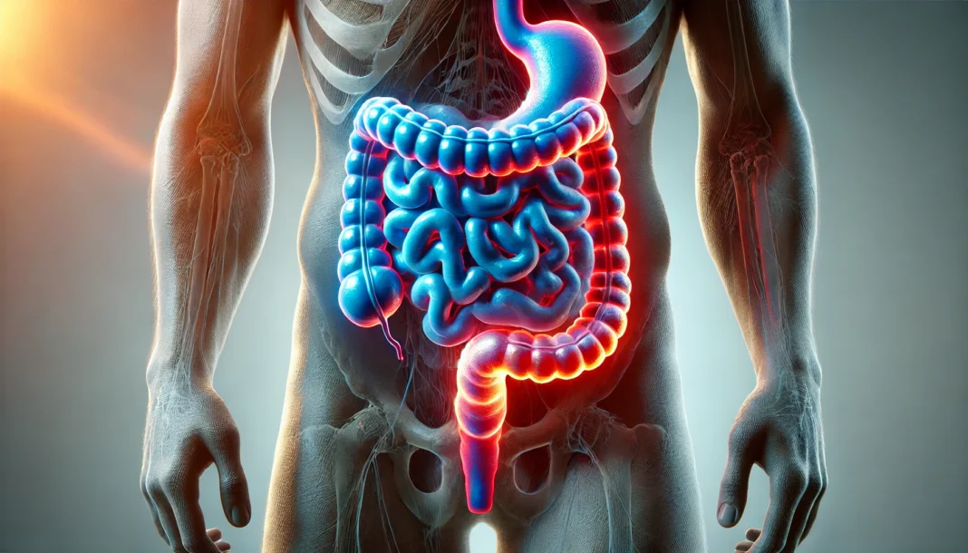 Medical visualization of the human colon highlighting potential areas linked to colon issues