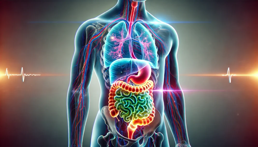 Human gut-brain connection illustration representing functional GI disorders and their neurological links